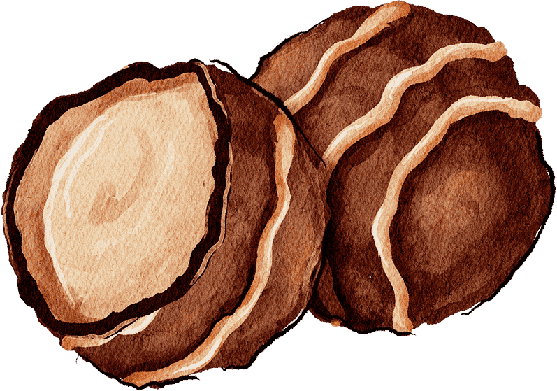 bakery-illustration-8